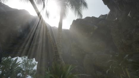 Große-Palmen-In-Einer-Steinhöhle-Mit-Sonnenstrahlen