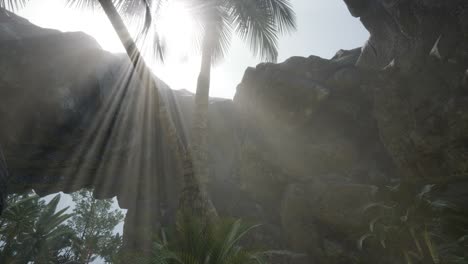 grandes palmeras en la cueva de piedra con rayos de luz solar