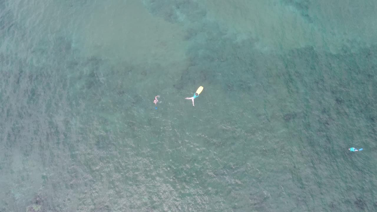 하와이의 놀라운 스노클링 장소에서 수영하는 사람들