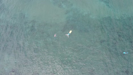 people swimming at incredible snorkeling spot in hawaii