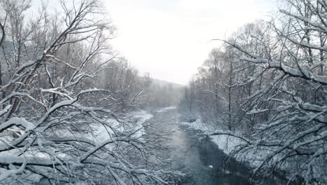 aerial view of fallen trees over frozen river covered by snow