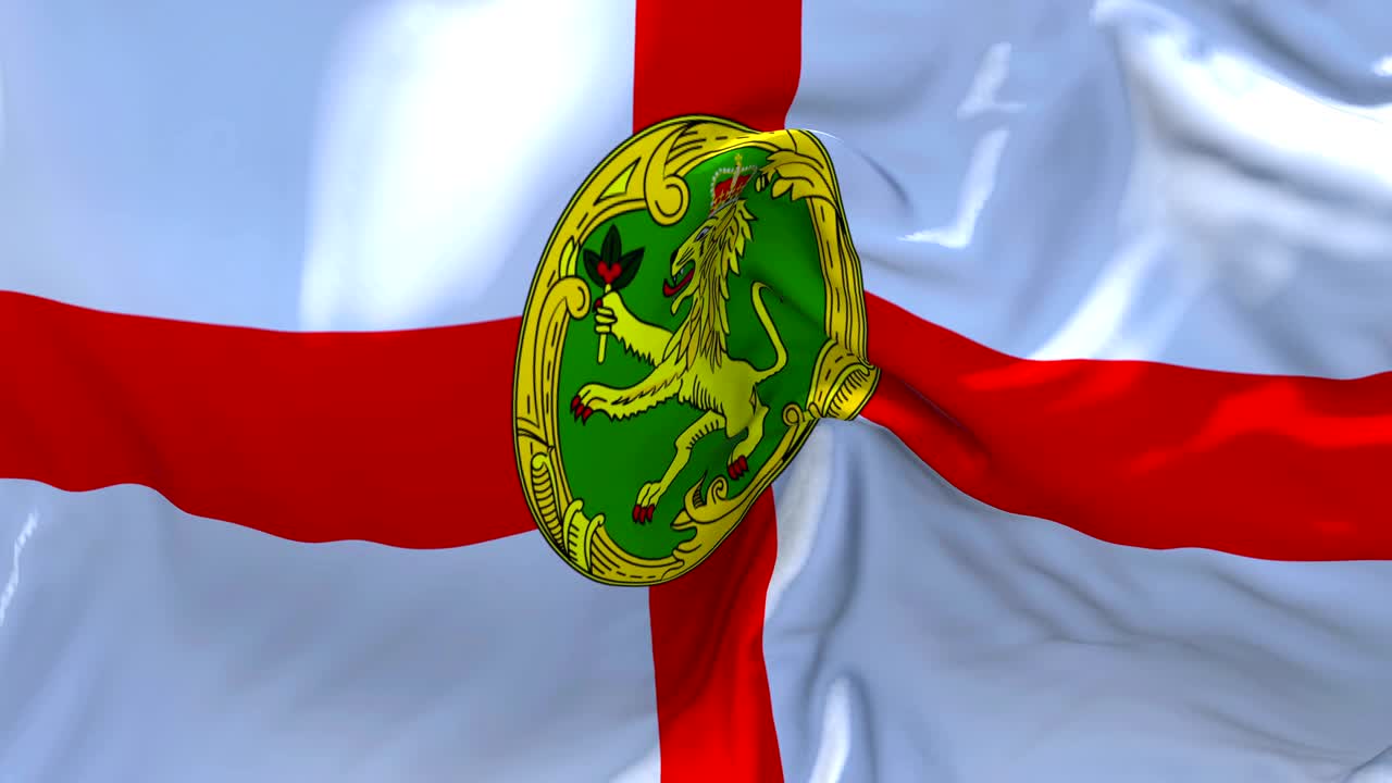 바람 속 느린 동작 애니메이션에서 alderney 발을 흔들고, 4k 현실적인 직물 질감 발은 바람이 부는 날에 부드럽게 불고, 연속적인 원활한 루프 배경입니다.