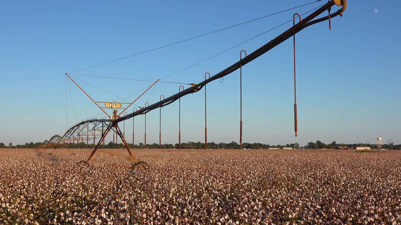 bonita vista del sistema de riego de agua de la granja en el cultivo de algodón agrícola en un campo en la región del delta del río mississippi 1