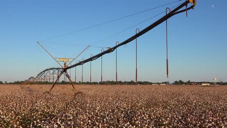 nice view of farm water irrigation system in agricultural cotton growing in a field in the mississippi river delta region 1