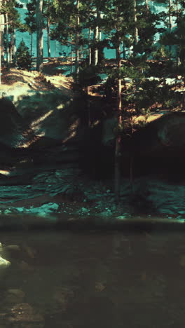 forest landscape with creek and rocks