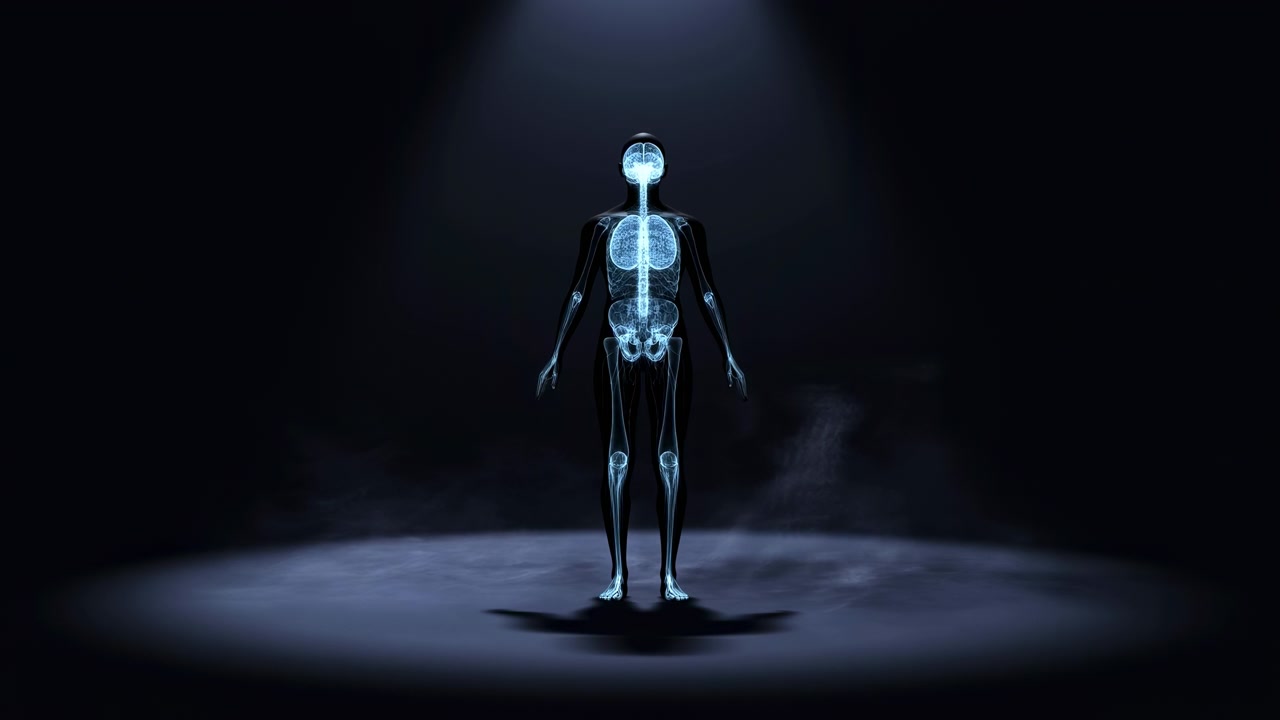 Una figura centrale rimane immobile su un pavimento circolare fioco mentre ossa luminose e dettagli interni del busto emergono dall'oscurità, raggiungono una chiara visibilità a figura intera, per poi ritirarsi sotto una luce blu soffusa