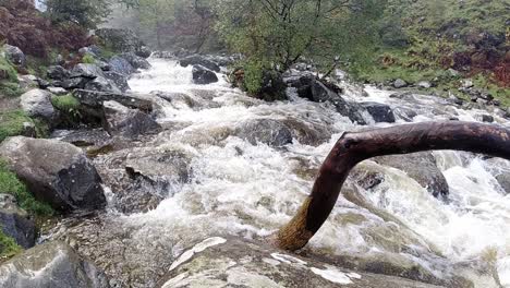 cascada de agua de río de cascada que fluye a cámara lenta moviéndose a través del follaje del bosque rocoso