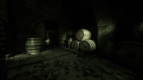 dark and gloomy wine cellar