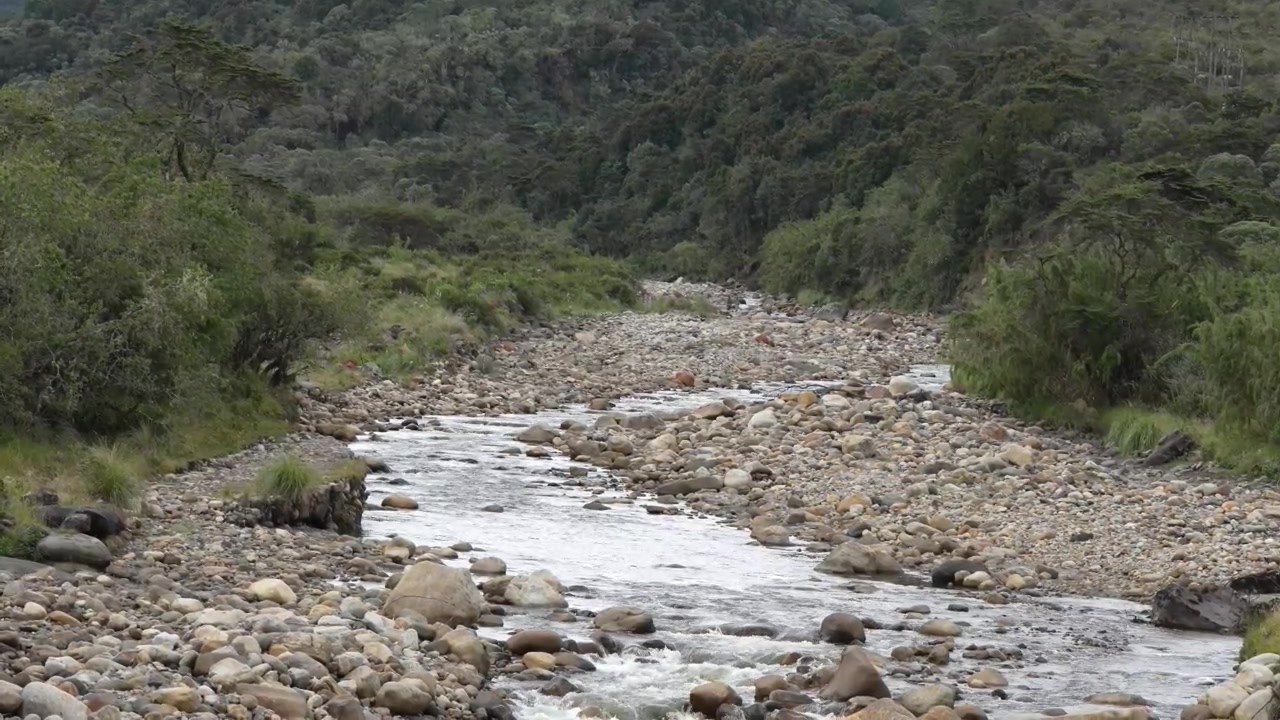 Ampia inquadratura orizzontale di un fiume che scorre attraverso l'ecosistema del paramo di Chingaza nel paesaggio di alta quota della Colombia.