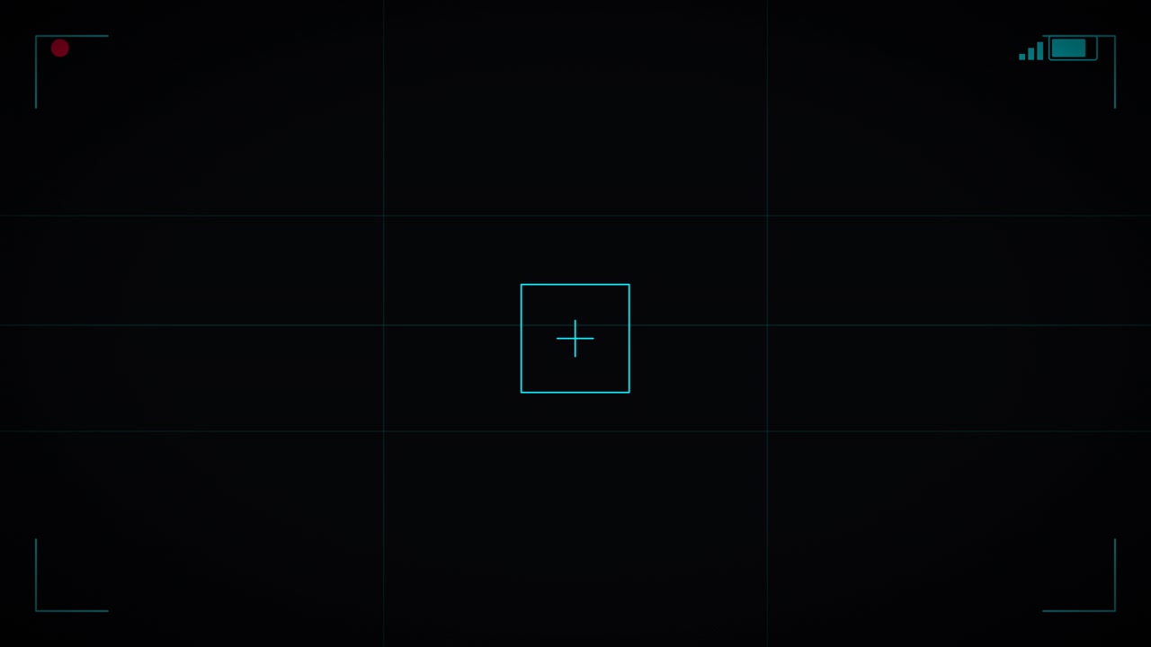 Digital Camera Viewfinder Overlay with Recording Indicator