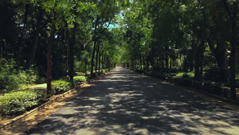 Rückwärtsfahren-Auf-Einem-Leeren-Weg-Im-Stadtpark