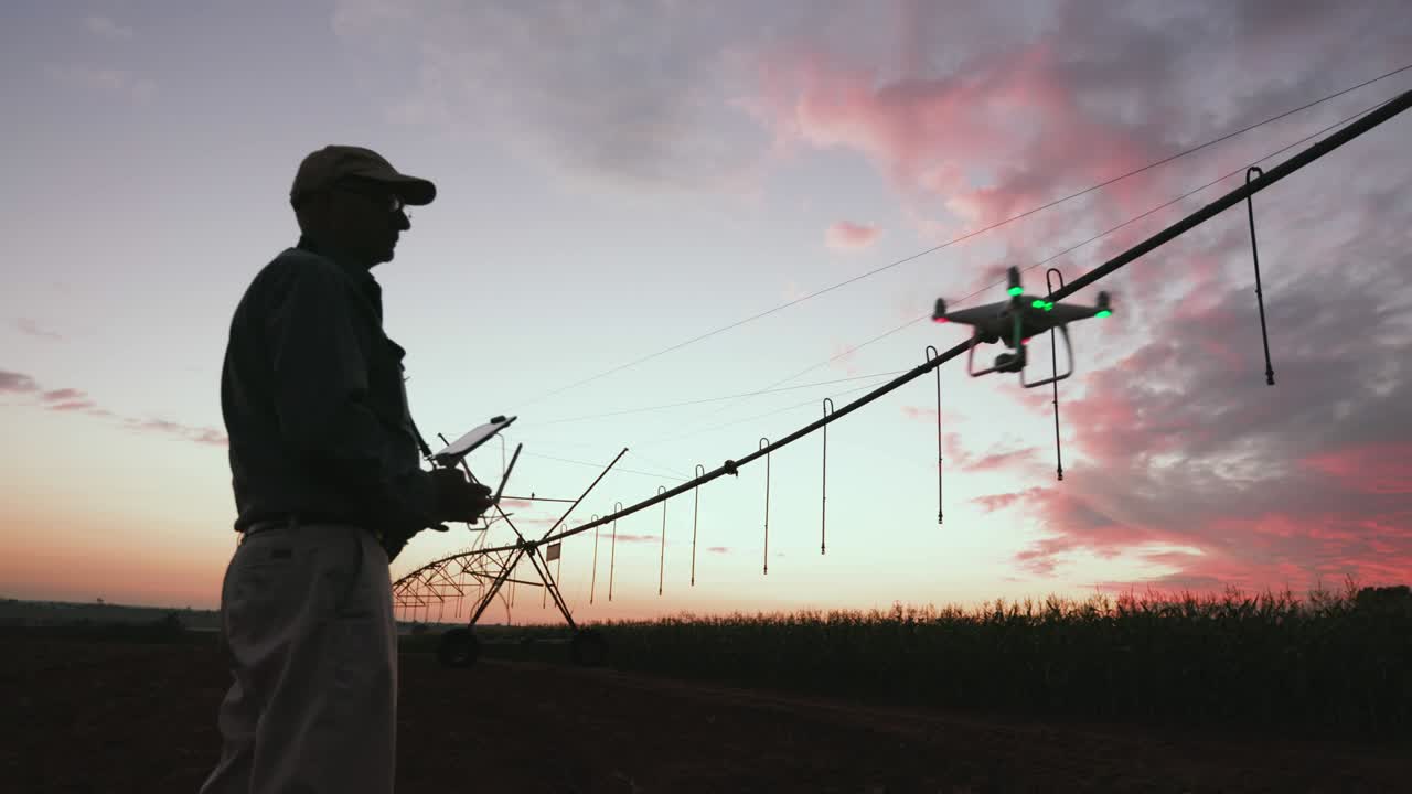 vista del amanecer de una silueta de 4k de un agricultor que monitorea su cosecha de maíz con un dron en una granja de verduras a gran escala