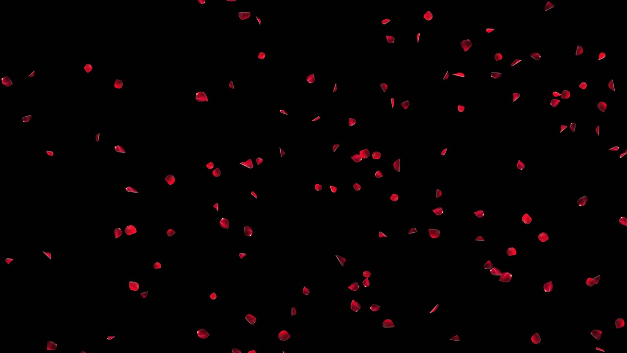 Red Rose Petals Falling on Black/Green Background
