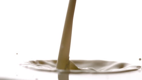 leche vertiendo en la piscina sobre un fondo blanco