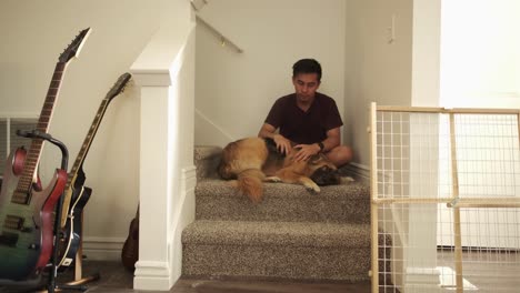 affectionate german shepherd dog approaches sitting owner and cuddles with him by house stairs