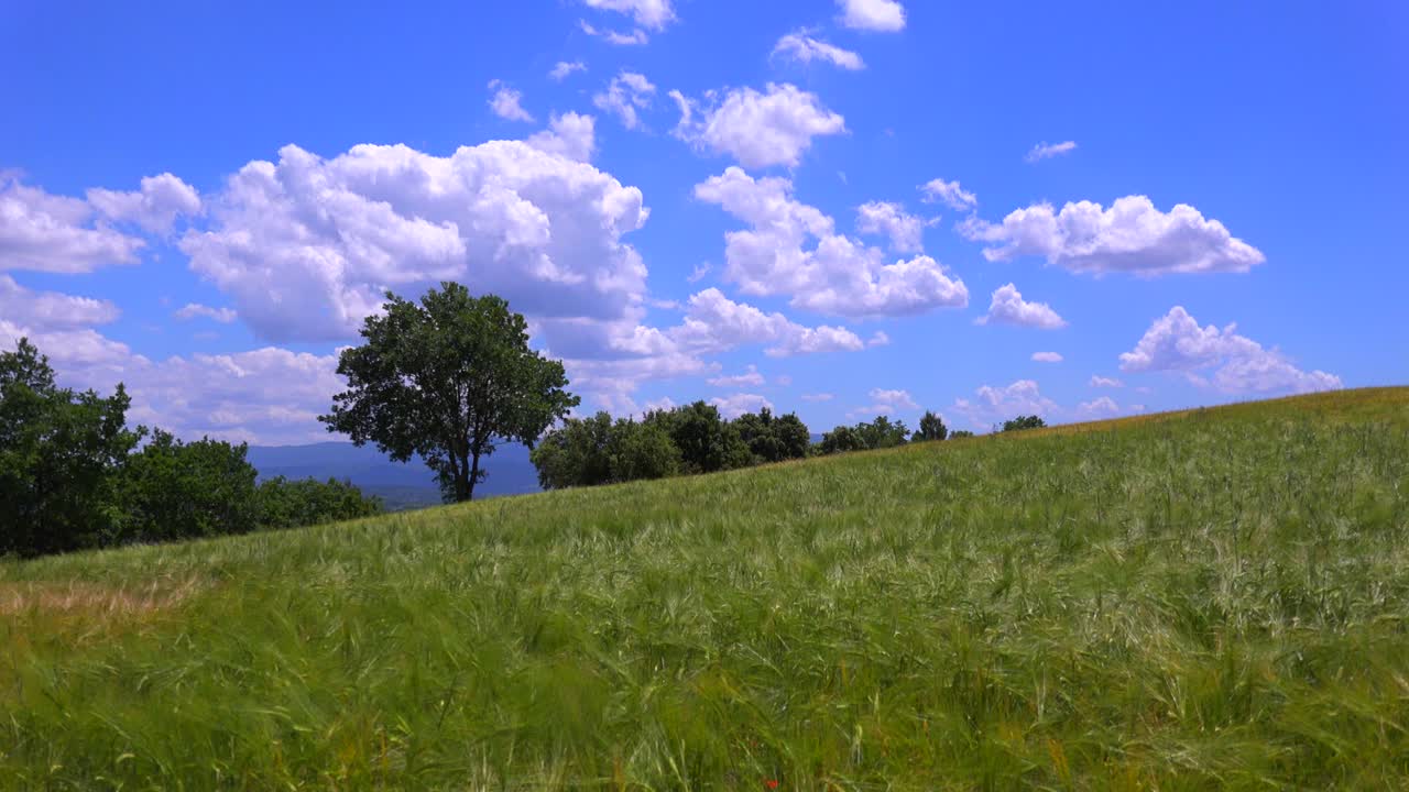 프로방스 프랑스에서 곡식을 흔드는 아름다운 광활한 들판 뒤에 구름이 표류한다