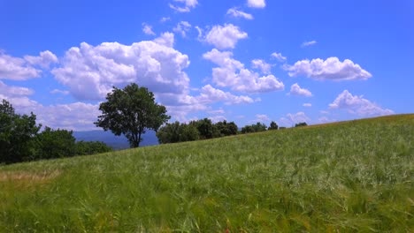 Las-Nubes-Se-Desplazan-Detrás-De-Hermosos-Campos-Abiertos-De-Grano-Ondulante-En-La-Provenza,-Francia