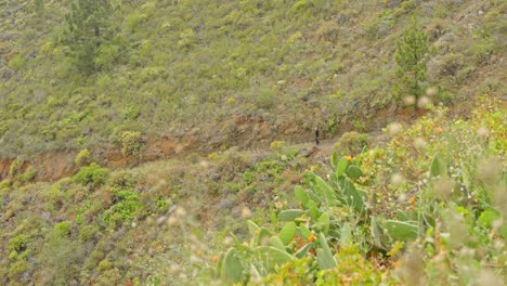 Distance-view-of-lonely-traveler-in-mountains-of-Tenerife-island