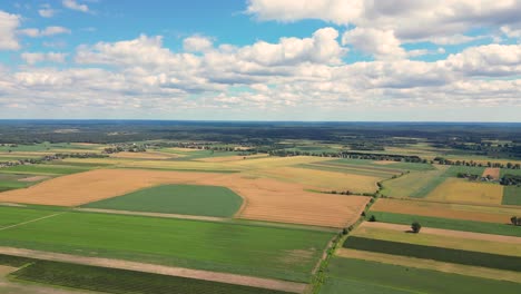 Luftaufnahme-Mit-Der-Landschaftsgeometriestruktur-Vieler-Landwirtschaftlicher-Felder-Mit-Verschiedenen-Pflanzen-Wie-Raps-In-Der-Blütezeit-Und-Grünem-Weizen