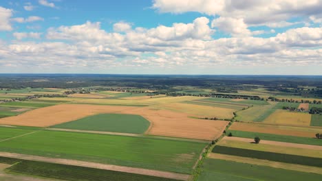 vista aérea con la textura de la geometría del paisaje de muchos campos agrícolas con diferentes plantas como la colza en la temporada de floración y el trigo verde