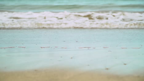 concepto de vacaciones de verano con olas rompiendo en la orilla de la playa de vacaciones 3