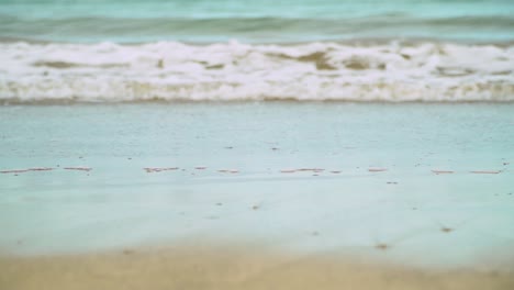 summer holiday concept with waves breaking on shore of holiday beach 3