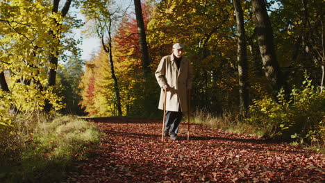 senior man walking in autumn forest