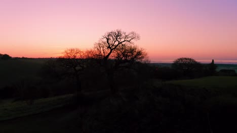 Hadleigh-Castle-Mañana-Amanecer-Pivote-De-árbol-Al-Castillo-Muestra-Ruinas