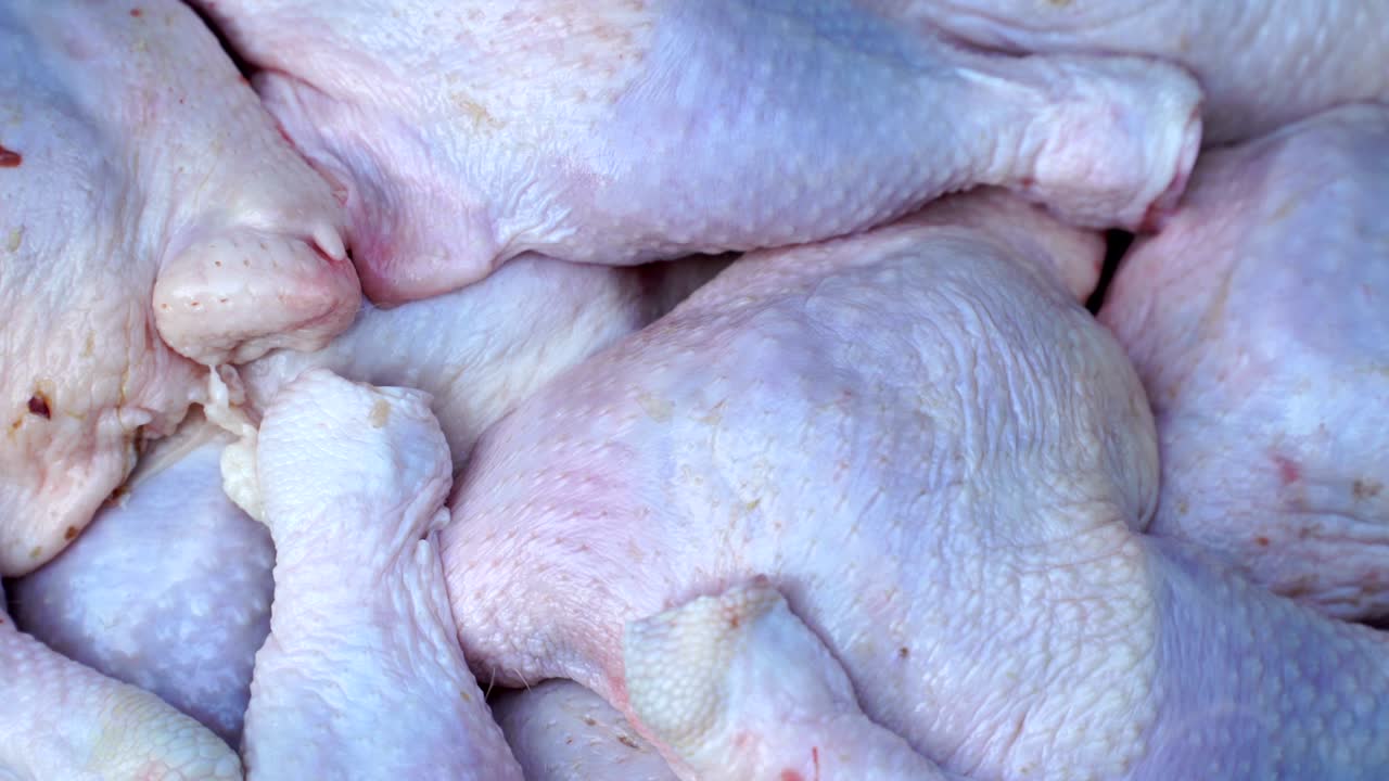 원시 다리 배경 회전