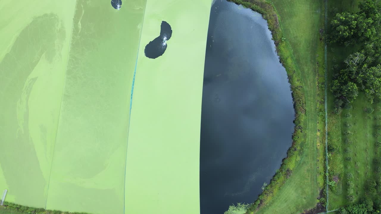 하수 처리장 표면의 녹색 잡초 발발과 대비되는 패턴