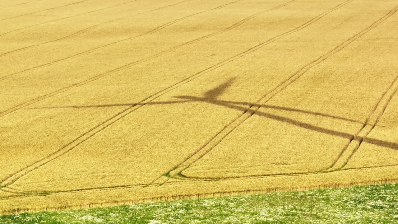 Aerial view around a wind turbine shadow on a wheat field, sunny, summer day