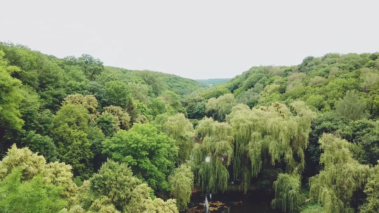 view of the lake with forest around. Aerial view. Scenic landscape. Camera motion forward