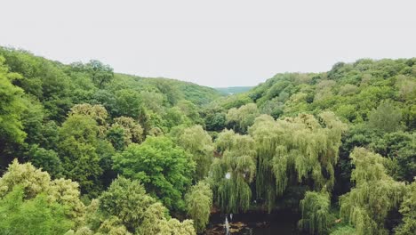 view of the lake with forest around. aerial view. scenic landscape. camera motion forward
