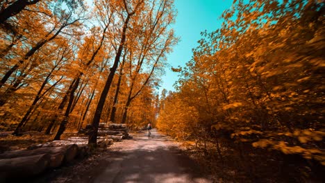 The-back-view-of-the-female-cyclist-riding-a-bicycle-in-the-Divoka-Sarka-natural-reserve-in-Prague-on-a-lovely-autumn-day