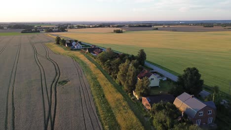 hässlunda, sweden: aerial drone video of local houses in the open fields at dawn