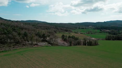 Aerial-drone-fly-low-agricultural-green-fields-in-spring-valley-at-spain-Catalonia-countryside-noon