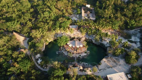 cenote of water surrounded by vegetation at casa tortuga, tulum, mexico