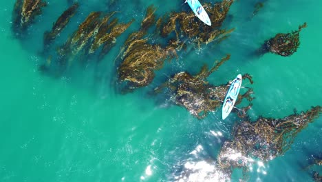 laguna beach kayaking