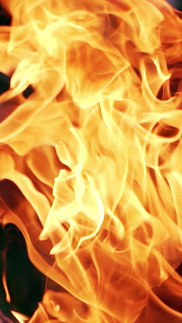 motion of vivid fire in darkness. red and yellow flame from the burning firewood outdoors at night. close-up. vertical video