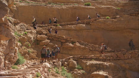 rangers lead a hiking group in the grand canyon