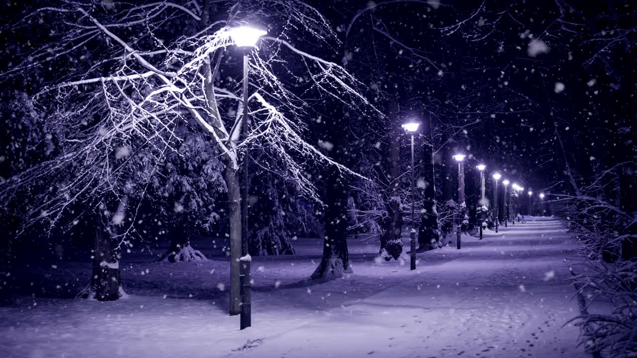 invierno en un parque (bucle)