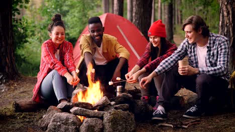 cinemagraph loop - grupo multirracial de turistas está cocinando comida asando malvaviscos en fuego abierto sentado en el bosque y sonriendo. senderismo, estilo de vida saludable y concepto juvenil.