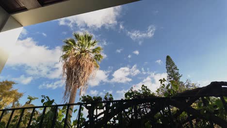 Lapso-De-Tiempo-De-La-Vista-Del-Balcón-De-La-Palmera-Contra-El-Cielo-Azul,-Isla-De-Madeira