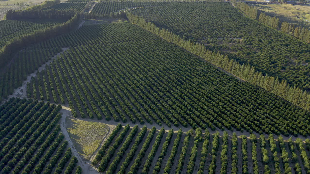 la naturaleza está llena de posibilidades.