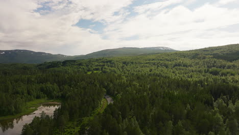 aerial flyover of dense endless norwegian wilderness, campervan passes on road