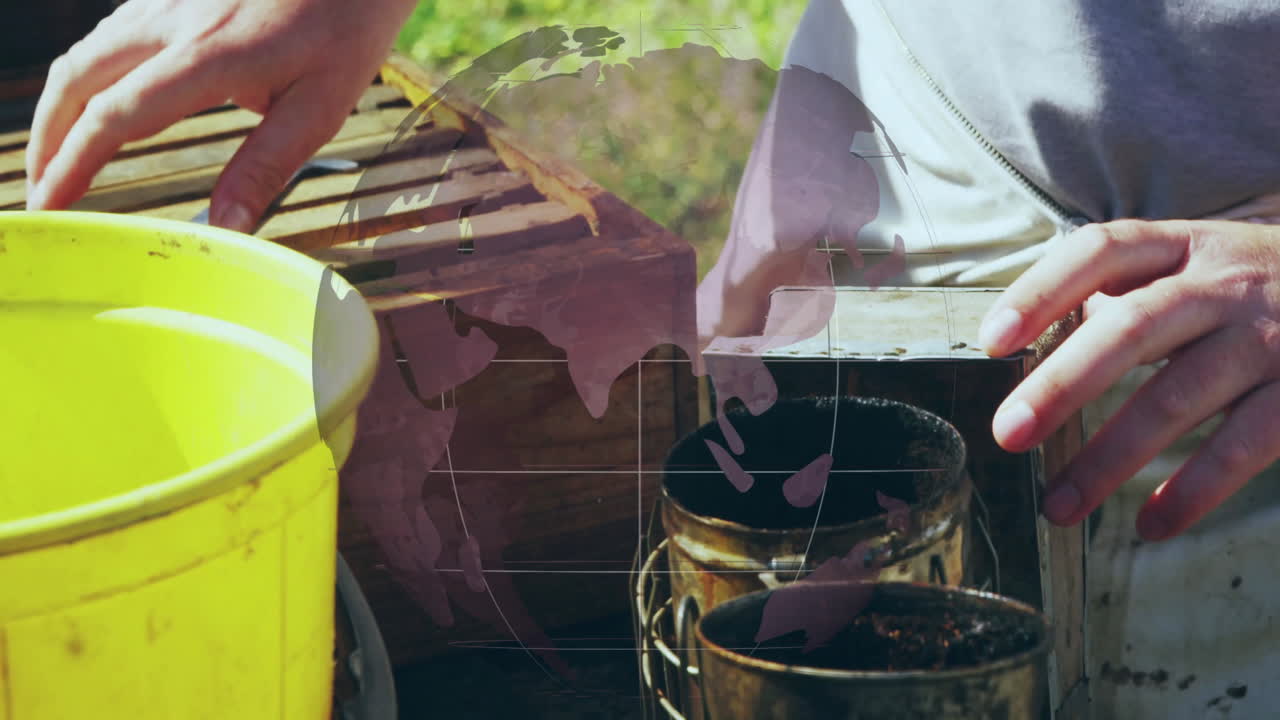 Tending beekeeping equipment with globe animation overlay, hands carefully working