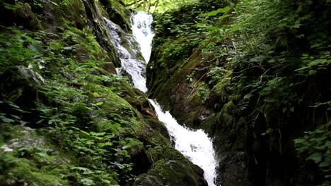 slow motion view of water cascading down a narrow waterfall with lush green foliage moving in a gentle breeze