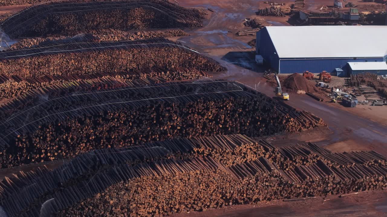 Aerial view of logs stacked at a sawmill in California, conveying busy industry