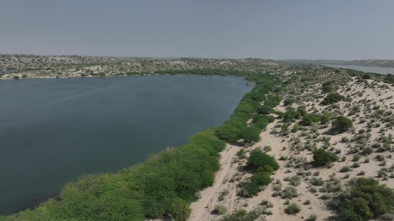 oasis verde en el lago botar, sanghar, pakistán