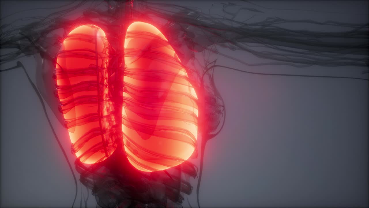 examen radiológico de los pulmones humanos